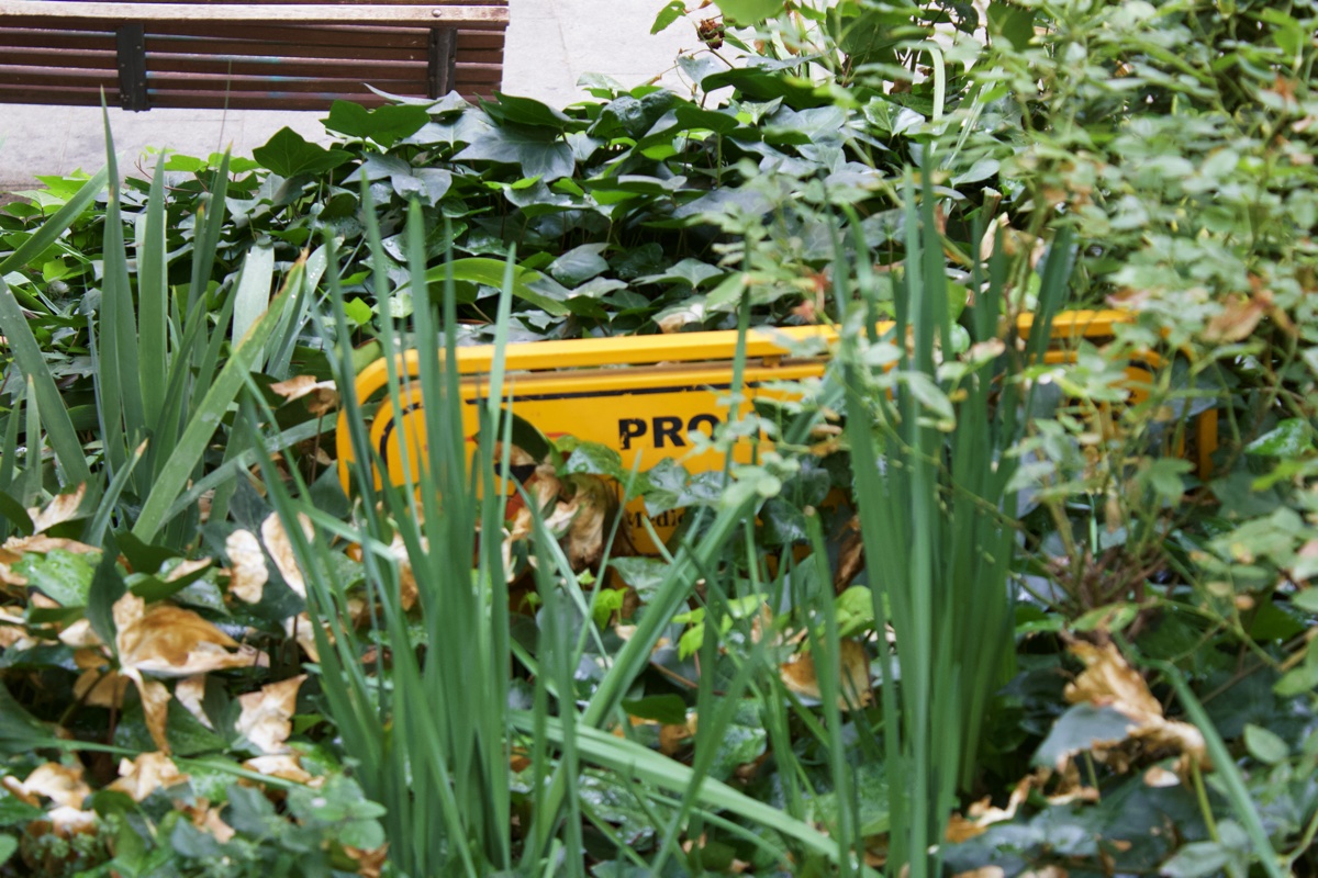 A yellow sign half hidden by plants beside a bench in Madrid